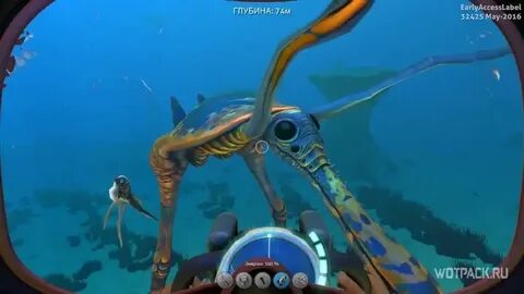 Где найти сетчатое волокно в subnautica