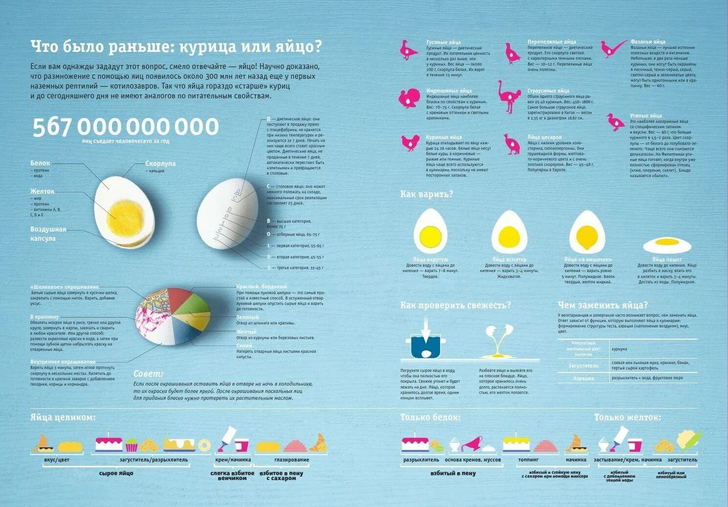 Сколько калорий в перепелином. Яйца инфографика. Варка яиц инфографика. Факты о вареных яйцах. Инфографика яйцо куриное.