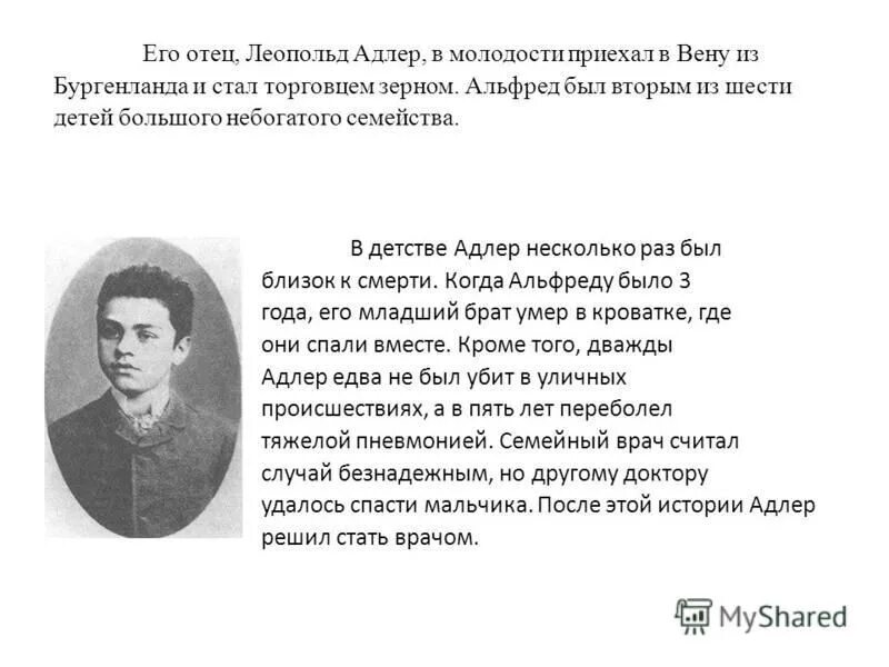Сочи город курорт презентация. Адлер рассказы на дзене. Адлер рассказы на дзене. Адлер рассказы на дзене. Адлер рассказы на дзене.