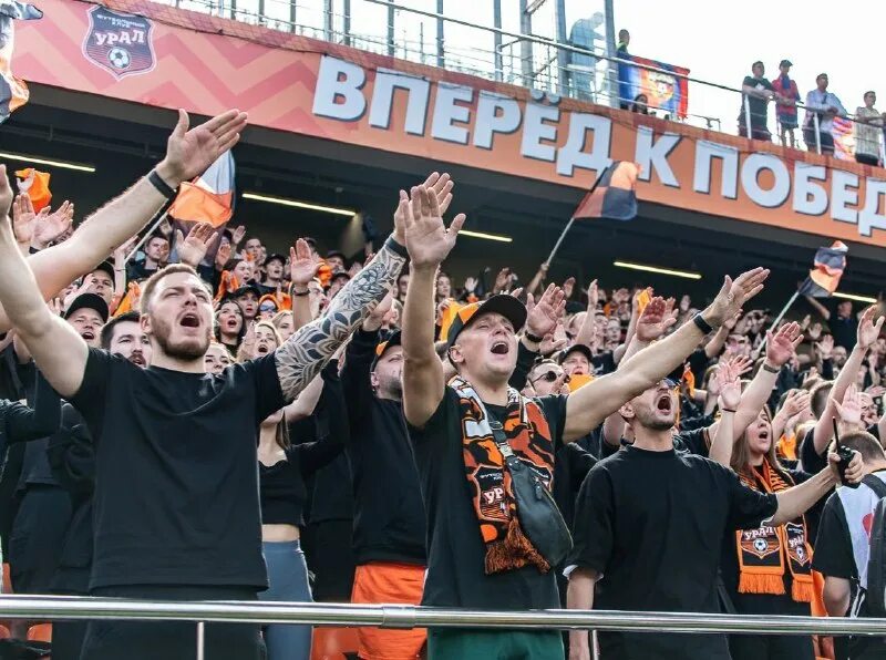 Сколько фанатов в мире. Сколько фанатов в мире