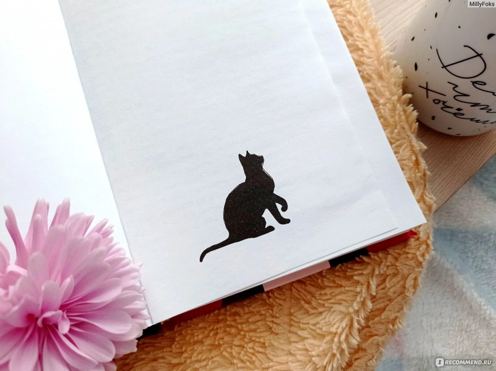 Тишина моих слов книга. Ава рид "безумно". Антоним к слову хитрый. Тишина моих слов. Тишина моих слов.