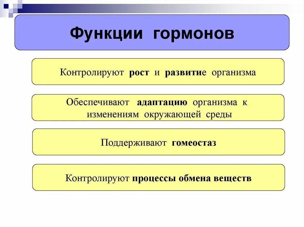 Какова роль гормонов в организме человека