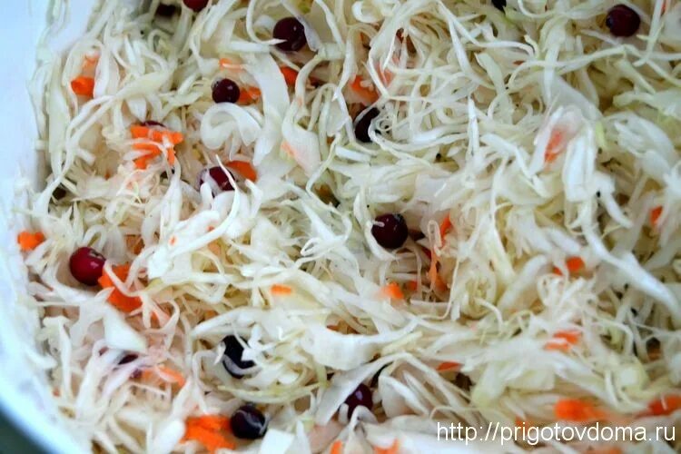Как квасить капусту с клюквой. Квашеная капуста с клюквой. квашеная капуста с клюквой фото. квашеная капуста с клюквой в банке.