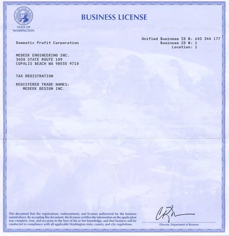 License value. Business license. business license usa. company license. бизнес лицензия сша.