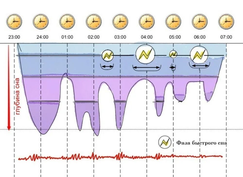 Фазы сна человека по времени норма. Фазы сна таблица. Фазы сна. Структура сна фазы медленного и быстрого сна. 7 фаз сна.
