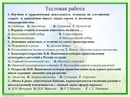 Практическая работа по теме деятельность человека