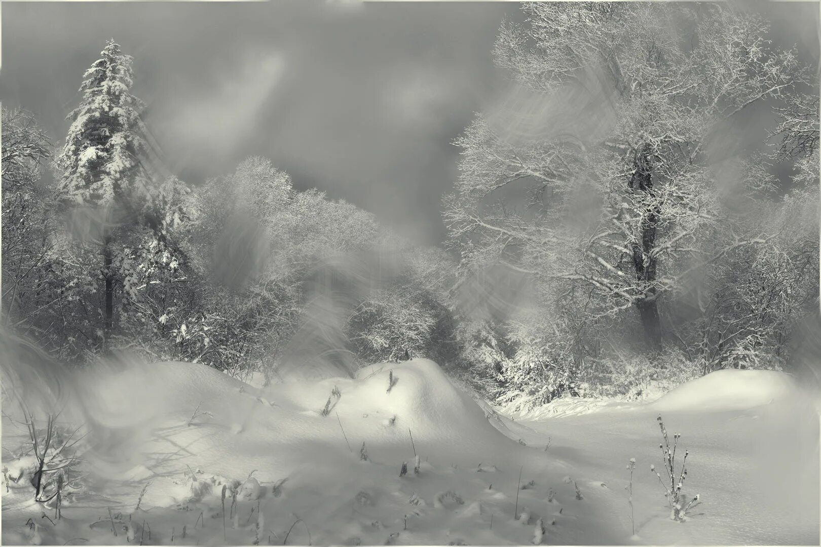 Полюбил бы я зиму да обуза. Зима в Приморской тайге. Тёмный зимний метель пейзаж тревожный.