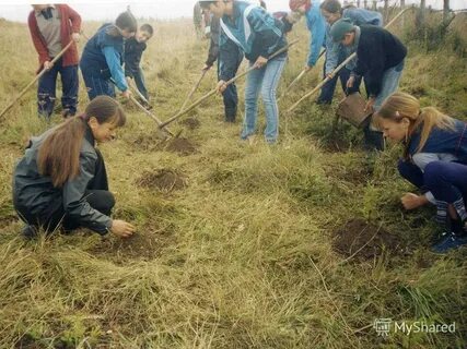 Работа экологическое просвещение