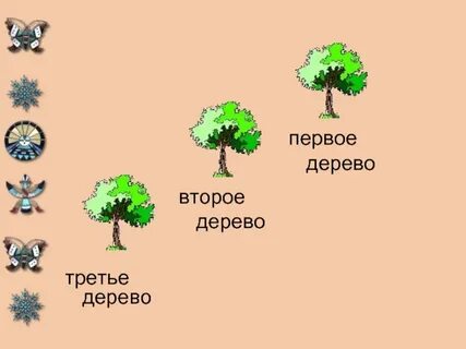 1 1 он дерево