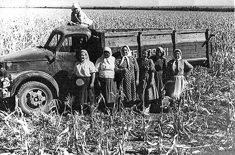 Деревни и колхозы 1970 года. 1929 год колхоз им. Колхоз урал чистопольский район. Архивы колхозов. Архивы колхозов.