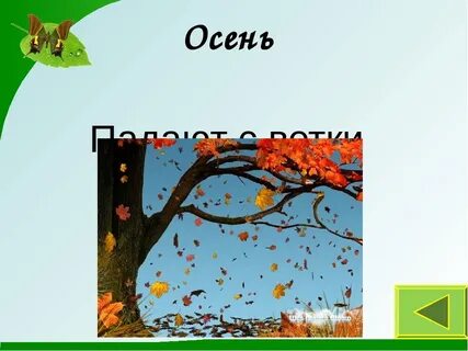 Падают с ветки золотые монетки ответ