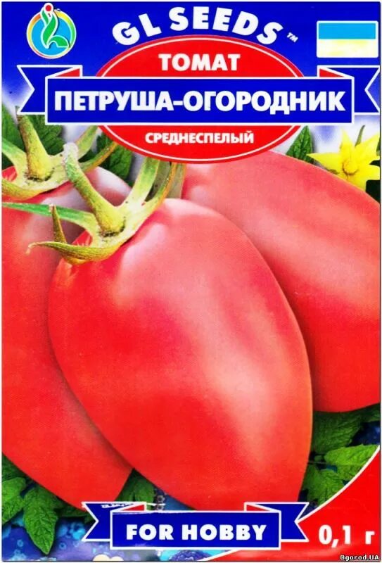 Томат огородник. Семена томат Петруша-огородник. Сорт помидор Петруша огородник. Сорт томата Петруша огородник. Петрушка огородник томат.