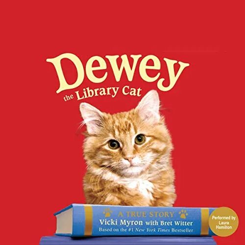 Тори майрон с тобой читать. Майрон дьюи. дьюи читатель книг. dewey the cat library. кот дьюи из библиотеки.