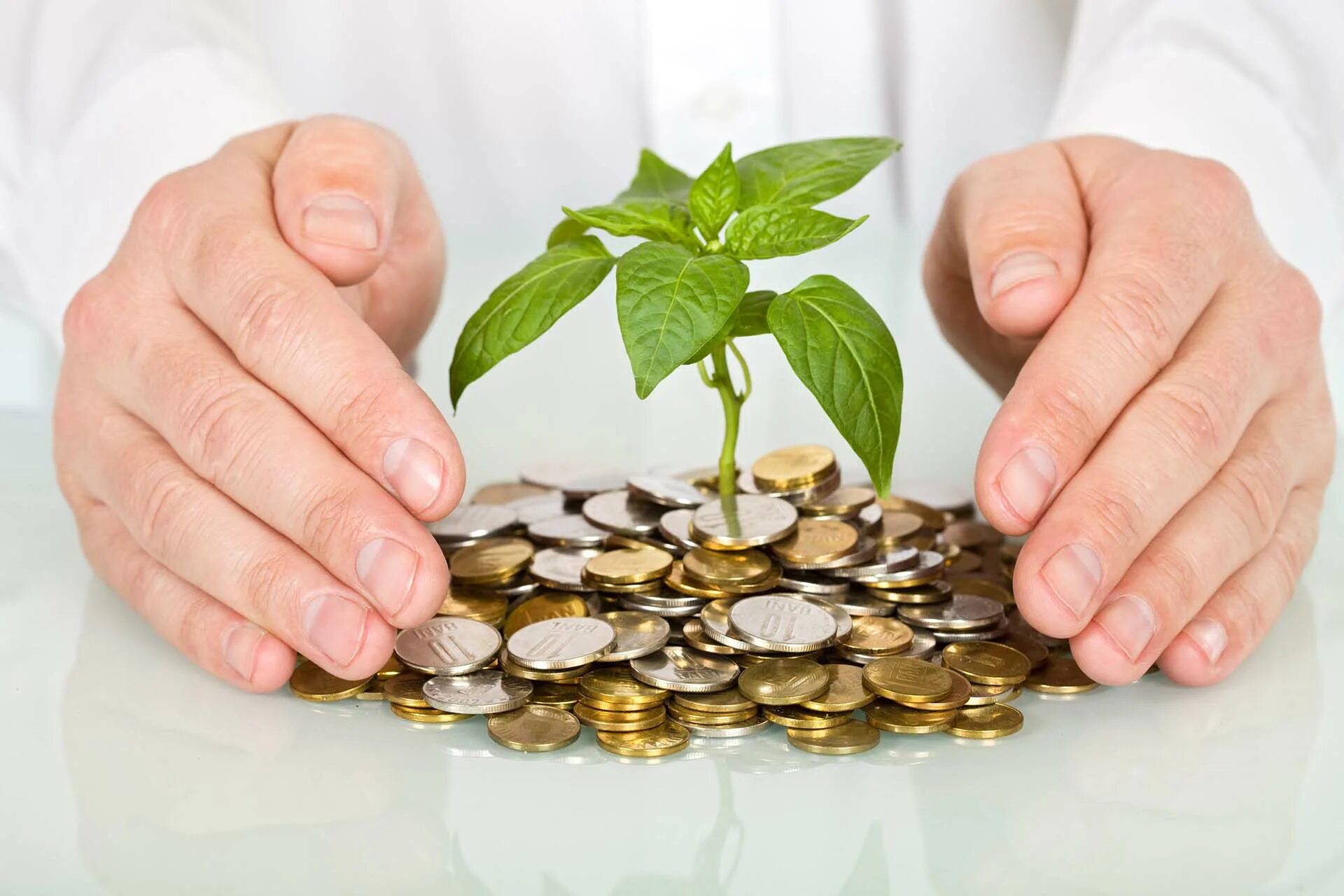 Saving capital