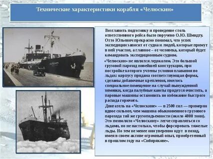Сколько кораблей отправилось в экспедицию