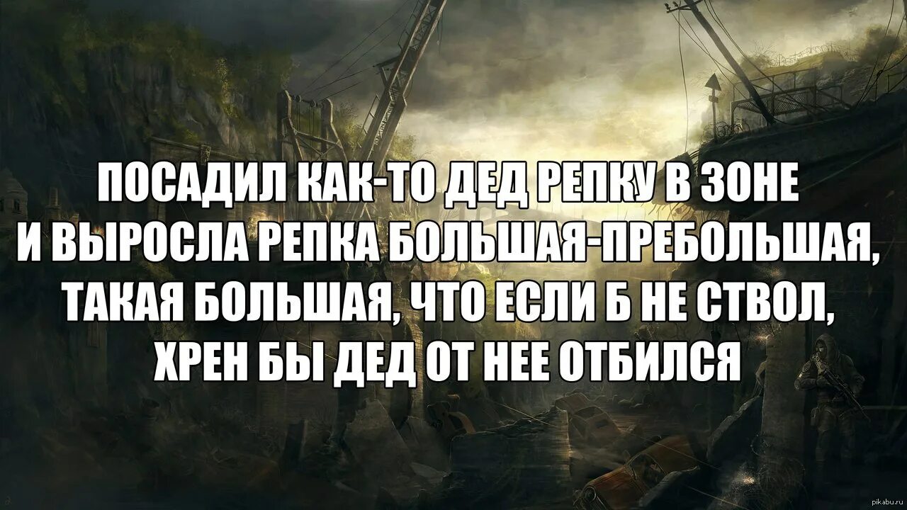 Анекдот появился в зоне черный сталкер. Сталкер цитаты. Анекдоты сталкер. Цитаты из сталкера. Анекдоты из сталкера.