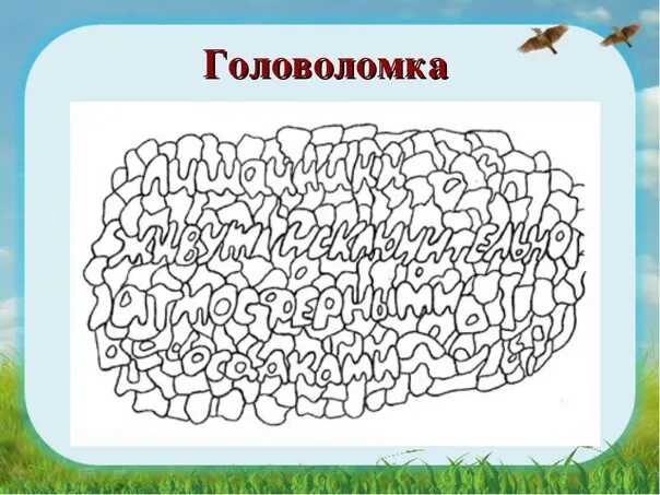 Кроссворд лишайники. Головоломки по экологии. Головоломки по теме грибы. Загадки на тему лишайники. Головоломка на тему грибы.