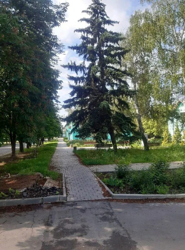 чернобыль пустой город. курахово. ул карла маркса фото ангарск. курахово селидово. 40 лет октября дом 28 лиски.