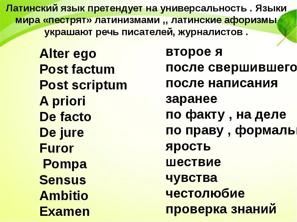 Слова начинающиеся с латинской. Слова на латыни. Латинские слова. Красивые латинские слова. Красивые Сова на латыни.