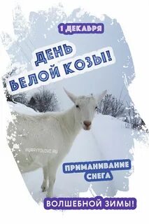 1 декабря 2021 какой