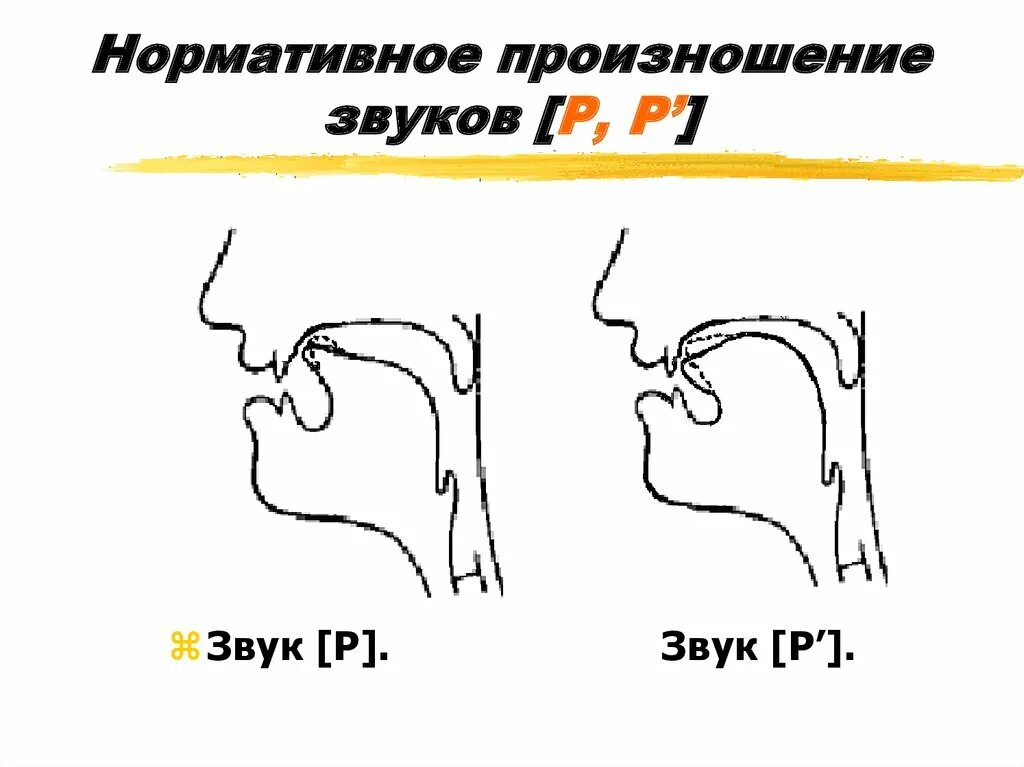 Звук д язык. Положение языка при произношении буквы р. Правильная постановка языка при произношении буквы р. Схема произношения буквы р. Произношение звука р.