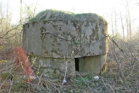Дот полная