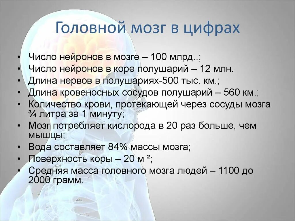 Мозг изучен на процентов. Мозг человека с цифрами. Головной мозг в цифрах и фактах. Количество нейронов в головном мозге человека. Головной мозг в цифрах и фактах презентация.