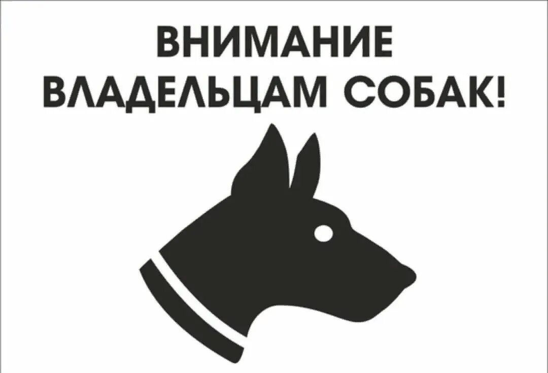 Держите собак на привязи. Внимание владельцам собак. информация для владельцев собак. внимание отлов животных. вниманию владельцев домашних животных.