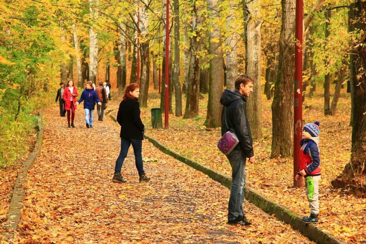 Осенний останавливаться. Прогулка в осеннем парке. Прогулка в парке. Прогулка по осеннему парку. Осень в парке.