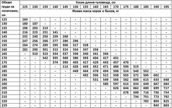Живой вес теленка. Таблица измерения крупного рогатого скота живым весом. Таблица измерения Быков живым весом рулеткой. Таблица замера КРС живым. Таблица КРС живой вес быка.