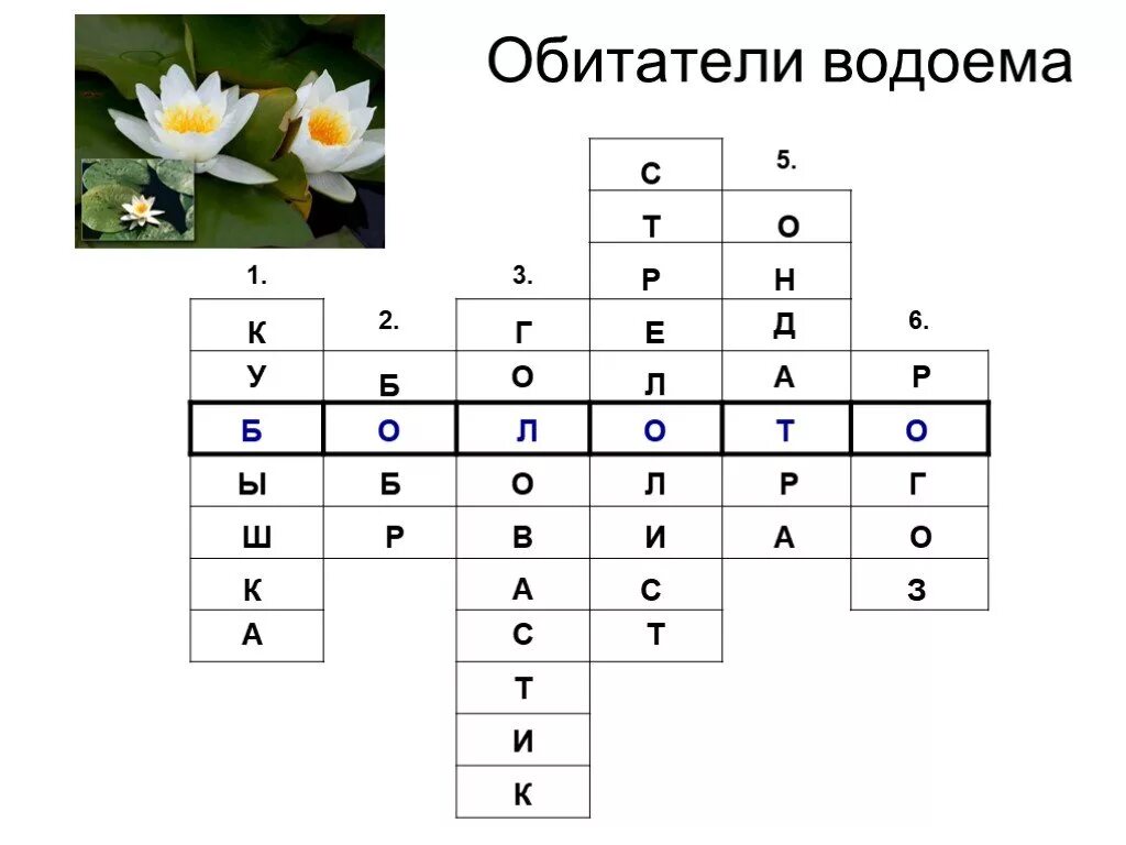 Составьте кроссворд природное сообщество выбрав одно луг. Красворд на тему водоëм. Кроссворд на тему водоемы. Кроссворд на тему пресный водоем. Кроссворд на тему водоемы 2 класс.