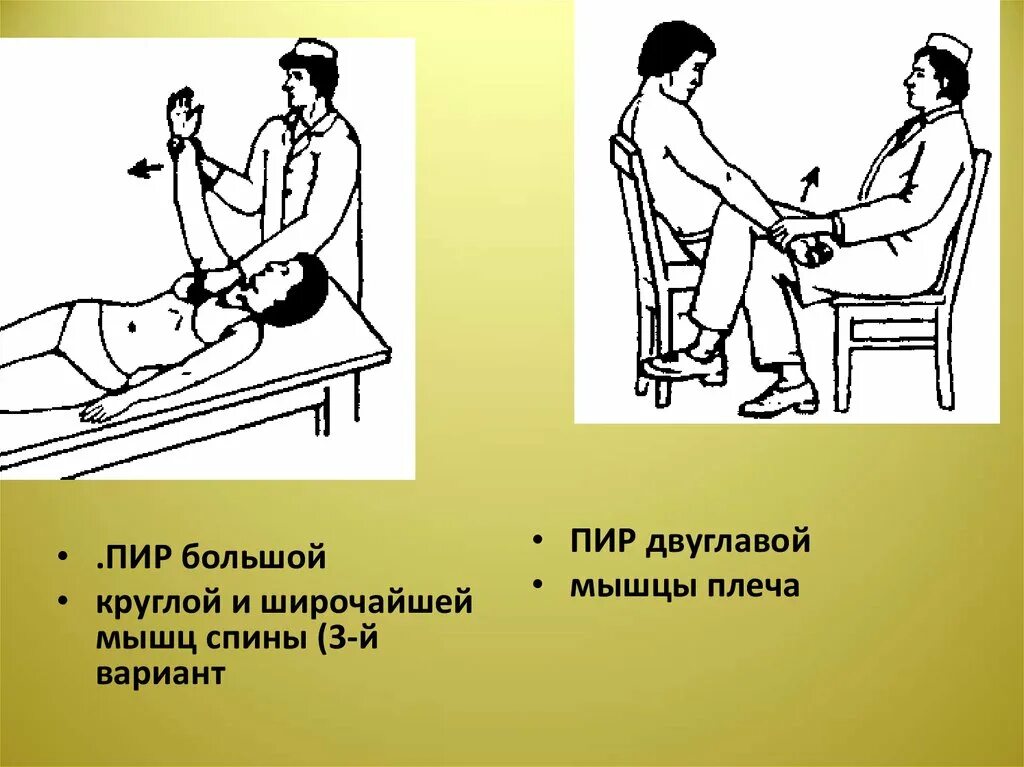 Положение пир. Пир мышц. пир широчайшей мышцы спины.