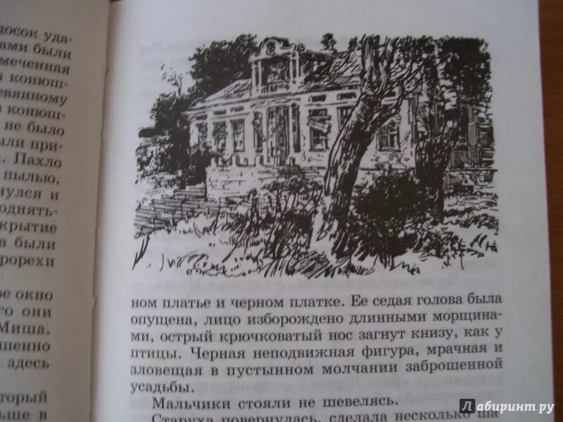 Бронзовая птица где снимали усадьба. Сколько страниц в книге бронзовая птица. бронзовая птица в аркадии.