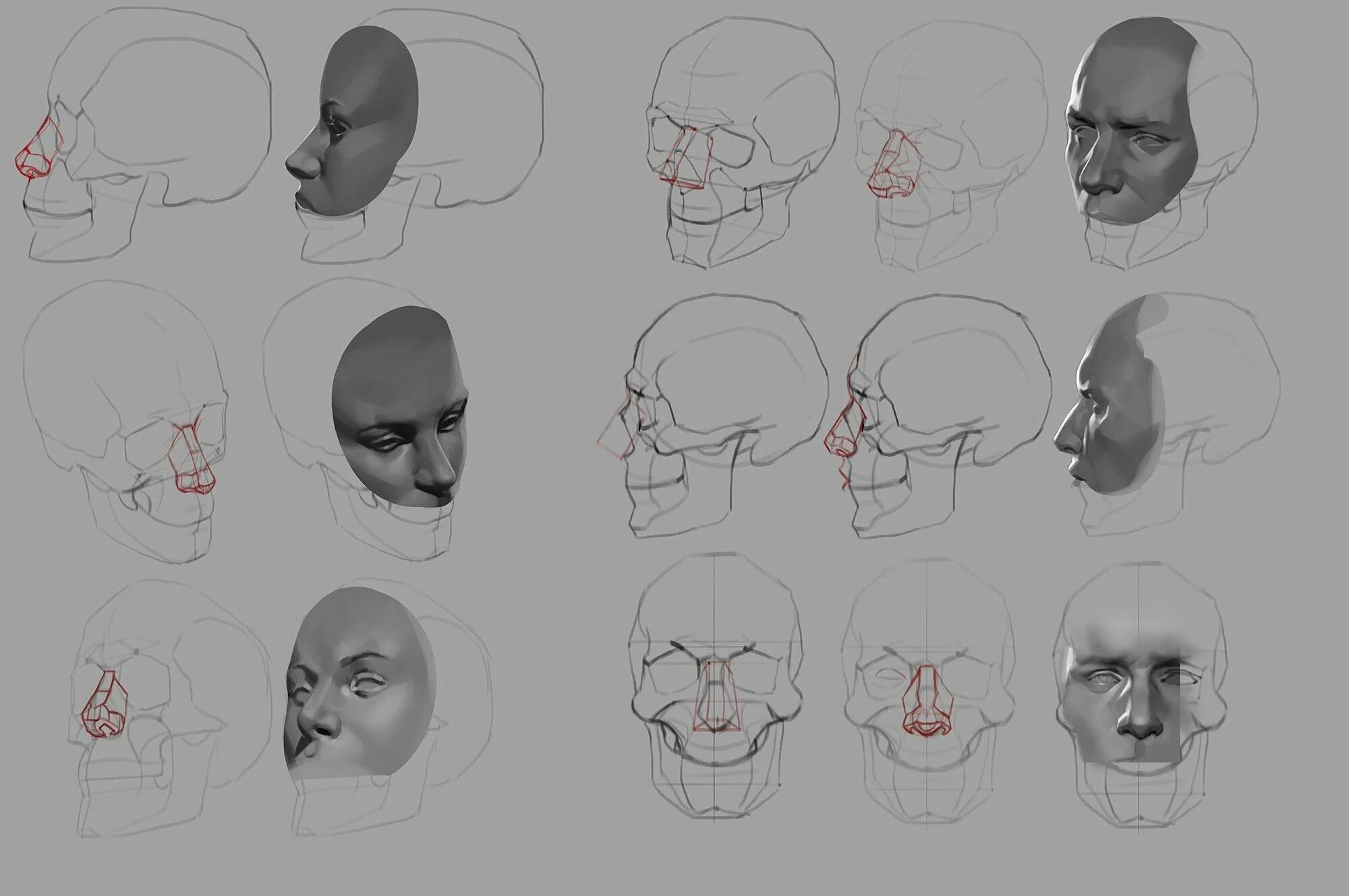 Голова в разных ракурсах. Рисунок головы человека в разных ракурсах. Референсы головы. Голова референс. Референс головы человека
