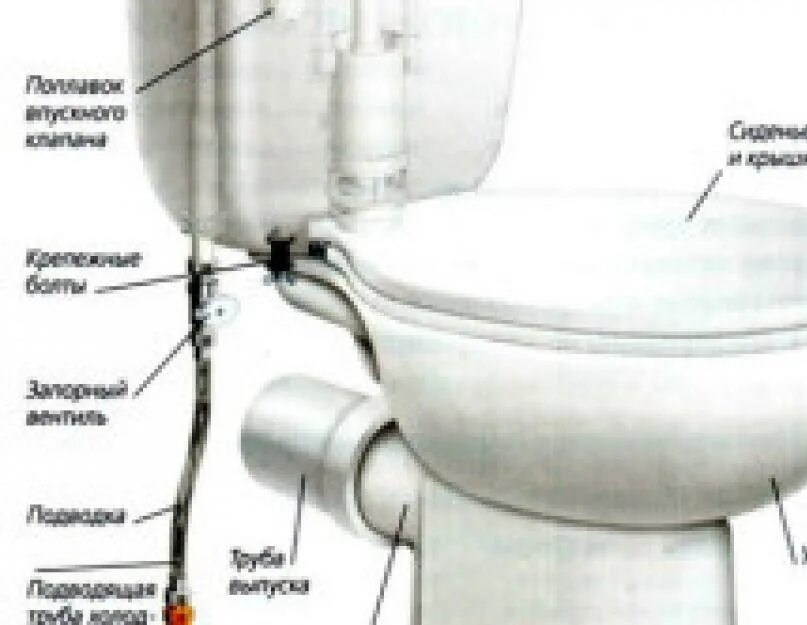 Строение старого туалета. Части унитаза и их названия. Как называются все части унитаза. Строение туалетной трубы.