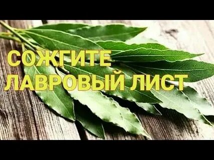 Лавровый лист для привлечения