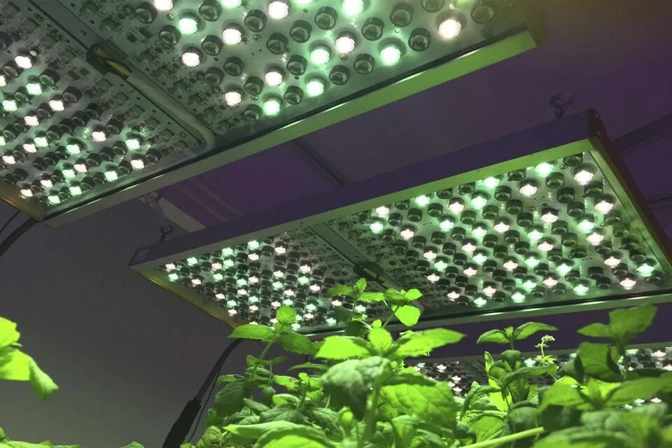Светодиоды в растениеводстве. Фотосинтетическая лампа. Осветительные и облучательные установки. Упаковка led grow Light. Led plant lights