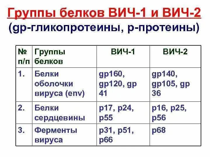 Что значит вич 1 и вич 2. Различия вич 1 и вич 2. вич 1 вич 2 разница. отличия вич 1 от вич 2 микробиология. вич 1 и вич 2 таблица.