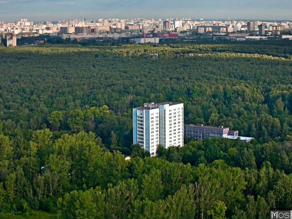 Лосиноостровский парк купить. Ул Лосиноостровская д 2. Лосиноостровский парк Москва. Лосиноостровская улица Москва. Ул. Лосиноостровская, д. 40.