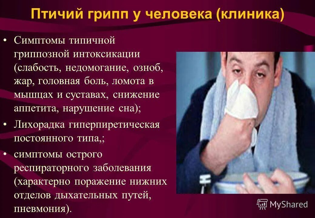 Птичий грипп симптомы у людей
