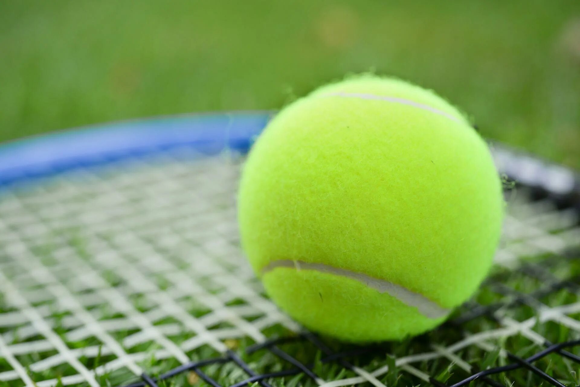 Теннисный мяч. Теннисный мяч Wimbledon. Французский теннисный мяч. Первый теннисный мяч