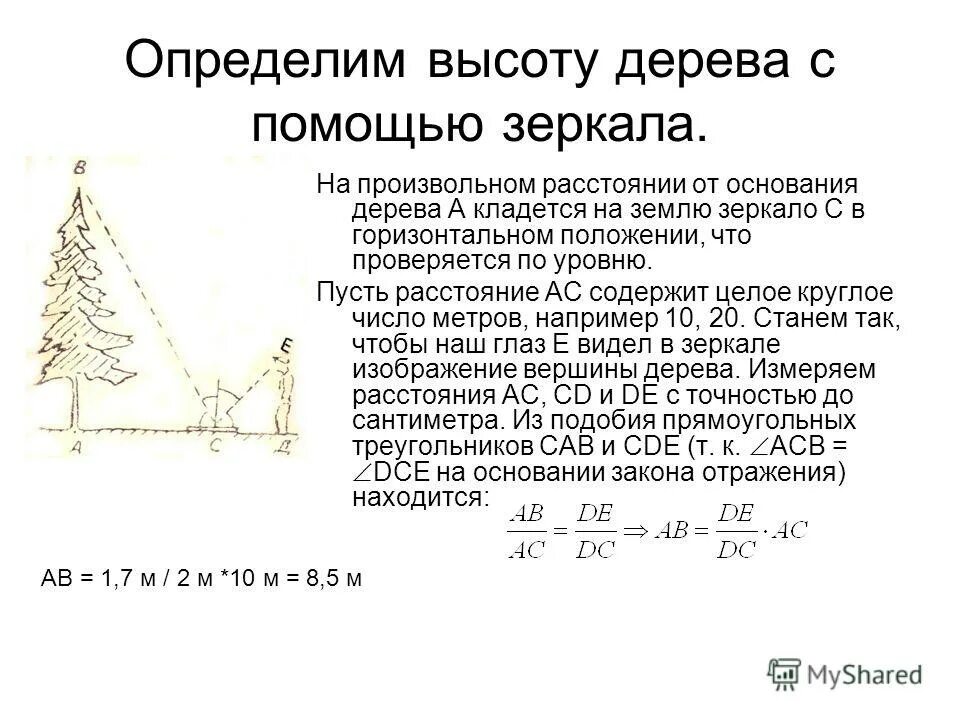 Определение высоты предмета геометрия. Определение высоты дерева с помощью зеркала. Измерение высоты дерева. Измерение высоты предмета с помощью зеркала. Способы измерения высоты дерева.