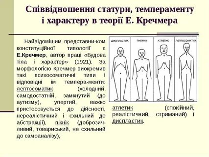 Э кречмер строение тела и характера