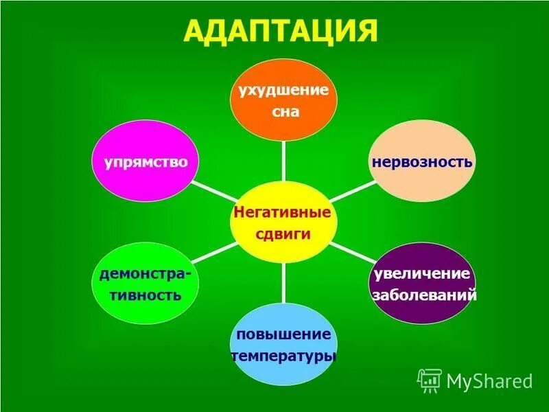 возрастные особенности детей 1. консультация для родителей до года. психологические особенности детей 2 3. особенности развития детей 3-4 лет. возрастные особенности детей до года.