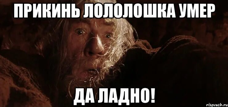 Муж, ты что творишь? Ты ж мне сейчас влагалище нахрен разорвёшь