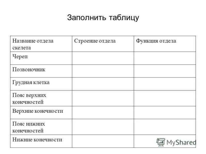 Отдел скелета особенности строения функции. Таблица строение и функции скелета. Заполните таблицу биология. Заполнить таблицу по биологии. Отдел скелета название костей таблица.