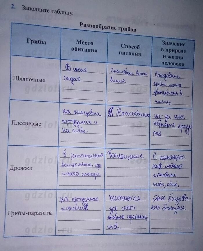 Многообразие грибов и их значения в природе и жизни человека