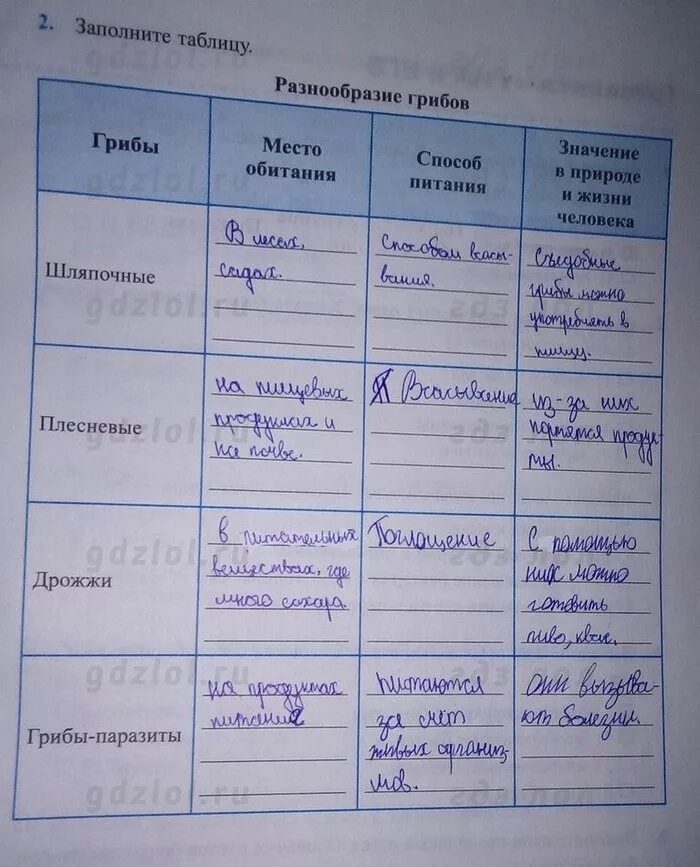 Биология 5 класс параграф 21 таблица