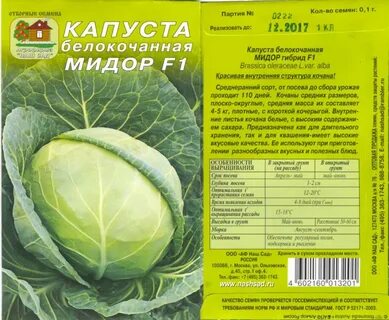 Какой сорт капусты лучше для хранения