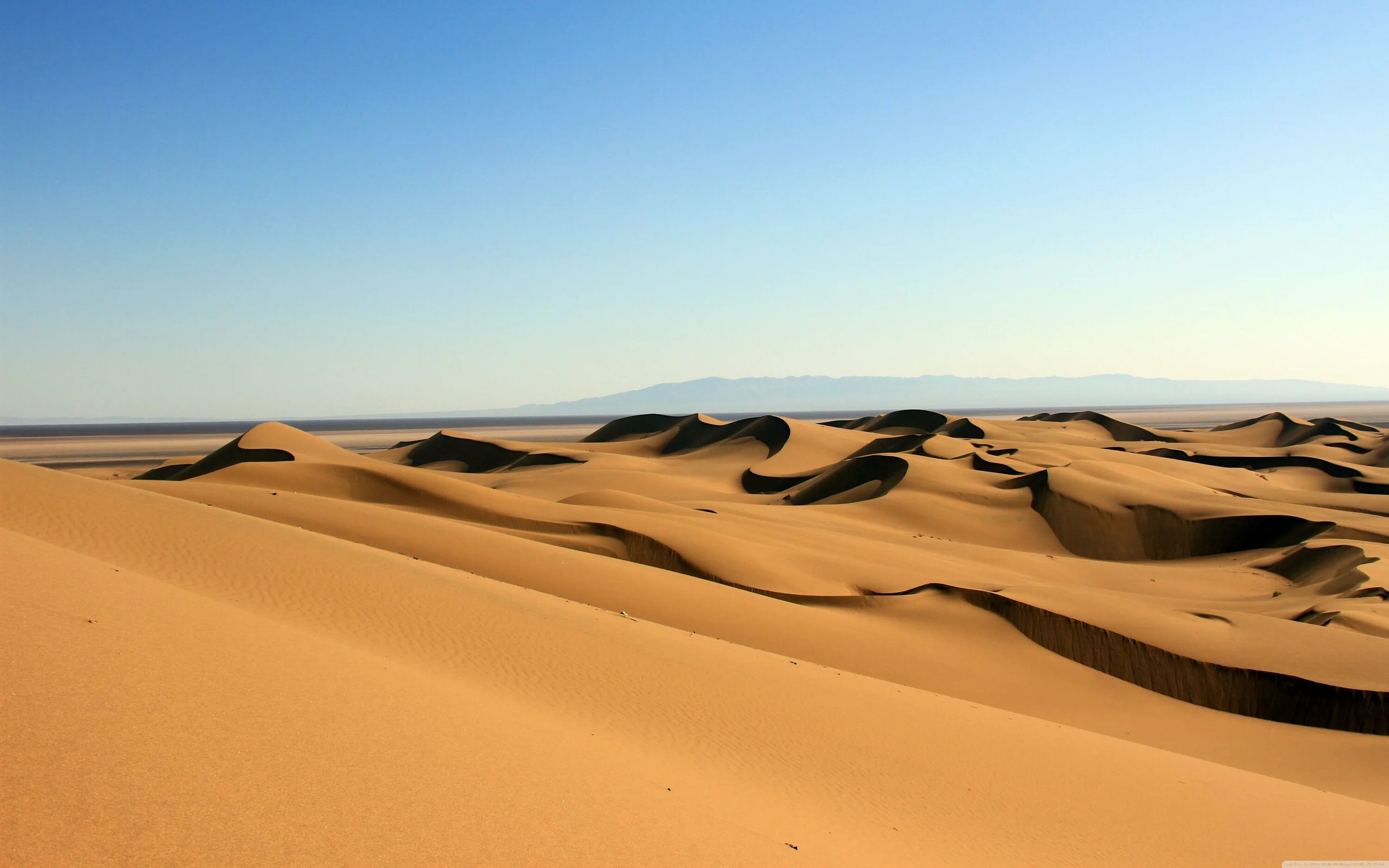 Пески Мохаве. Бархан Сарыкум. Песчаные дюны в сычёво.